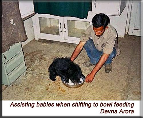 Devna Arora - Shifting to bowl feeding